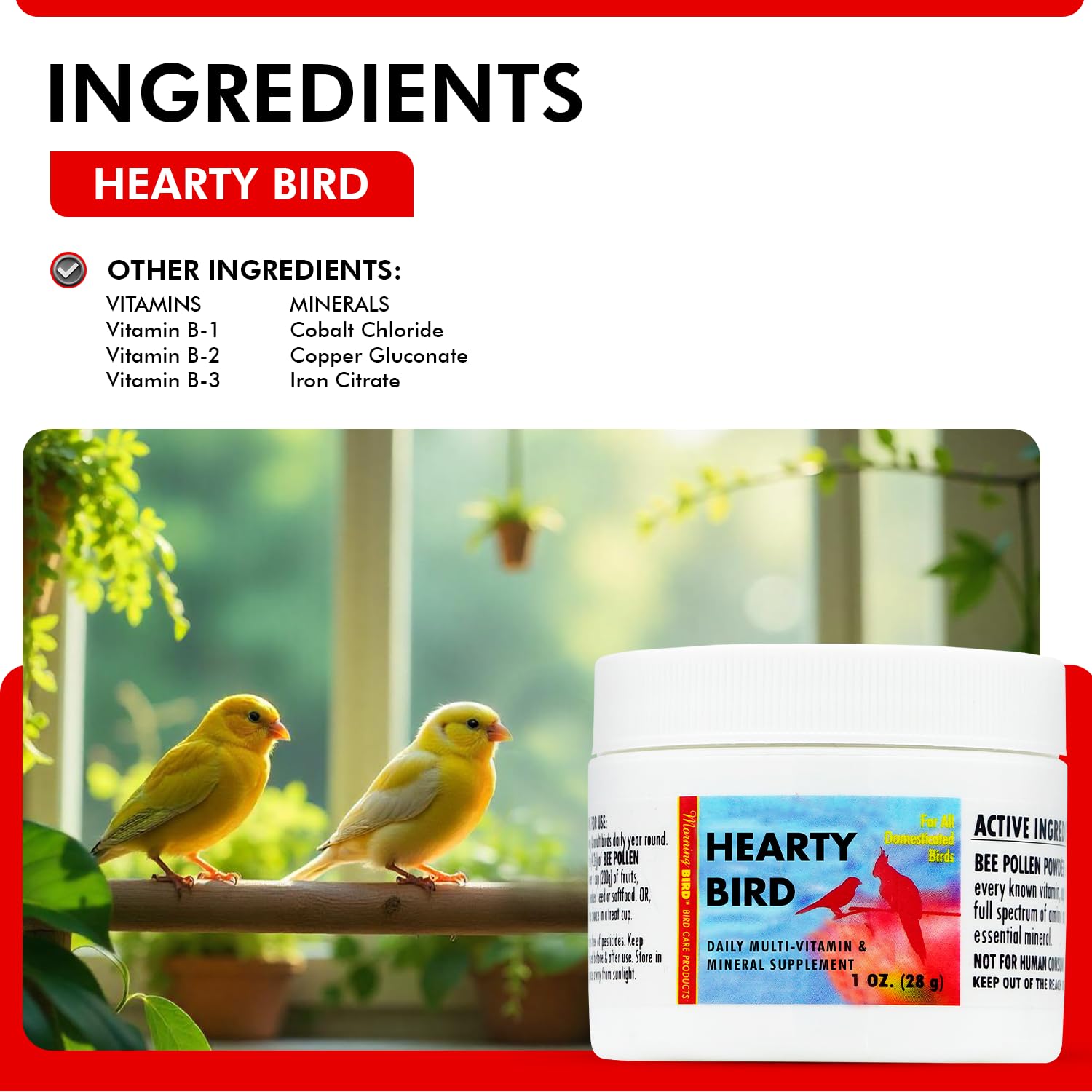Morning Bird Hearty Bird 1 oz - Daily Multivitamin Powder for Birds - Energy Support with Immune Booster & Wellness - Protein Su